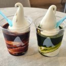 블루샥제주 - 제주시 중앙로 326 | 블루샥제주