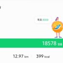 운동하는 날 day 이미지