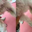 미닝데이