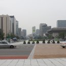 걷고싶은거리 이미지