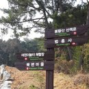 봉황산나래숲 이미지