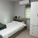 헤드홈탐라 이미지