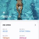 수영114 이미지