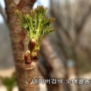 스러움 농장 이미지