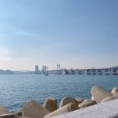 써지퀘스트 | 부산1박2일,해운대 블루라인파크 해변열차 탑승후기