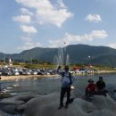 백일홍상사 이미지