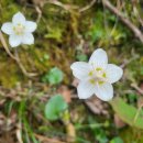 대 덕 사 이미지