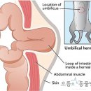 으뜸원동물병원 이미지