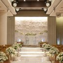 엘루체, 엘루체컨벤션 이미지