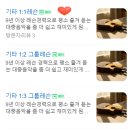 엘솔기타
