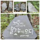 6월 23일 경기도 가평의 강씨봉을 산행함 이미지