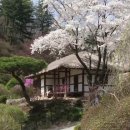 더블엑스댄스학원 이미지