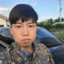 순종봄베이 뱅갈육종원 딥퓨어캐터리 이미지