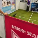 펫맘애 | 25.09.05. 일산 킨텍스 마이펫페어 후기