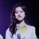 도연