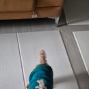 이웃집 동물병원 이미지