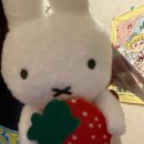 해솔약국 | February Favorites