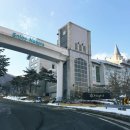 (주)익산그랜드팰리스호텔 | 하이원 팰리스 호텔 &amp; CC 주니어 스위트 트윈 객실 후기, 진짜 좋은데요!?