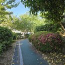 신암근린공원2 이미지