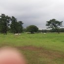 장생목장 이미지