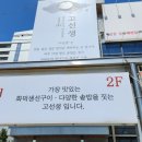 강문동 맛집 고선생 화덕생선구이 강릉본점 갈치조림 후기