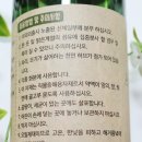 아람향 이미지