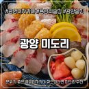 미도리회집 | 광양이자카야 감성 가득한 광양 미도리, 밀치회에 반한 밤