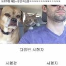 현대자동차수산점 | 1월 일상모음 (*ᴗ͈ˬᴗ͈)ꕤ*.ﾟ