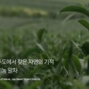 미츠 티스토리