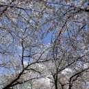 대구동구노인회관 이미지