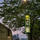 해운대농협 | 해운대 장산역 돈까스 맛집 유유카츠 추천메뉴 제주흑돼지 치즈멘치카츠 후기 (가는법참고👀)