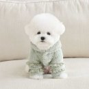 러브멍멍 이미지