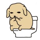 유정요양병원 | 히카츄 내돈내산 찐 효과봄 솔직 후기