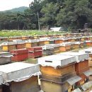 죽산농장 이미지