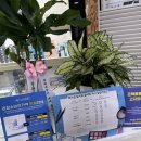 eye사랑안경원 이미지