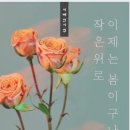 모모미 이미지