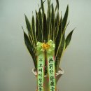 오케이정보통신