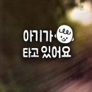 카트카인테리어
