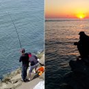 아라메 펜션 이미지