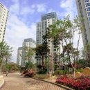 자연태양광2호 이미지