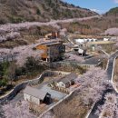 진주 월아산 자연휴양림 이미지