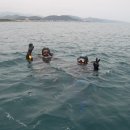 삼성전자(3119구조대)