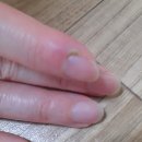 경대본정형외과의원 이미지