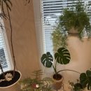 연수동산로7길 7, (연수동) 이미지