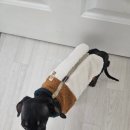 오장동 대로집 함흥냉면 이미지