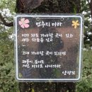 봉제산 오리나무쉼터 이미지