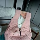 시츄언니 | 리토가토이동가방후기