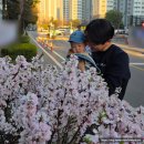 (엄마 아빠랑) 사랑이 쑥쑥 신체놀이 | 블루래빗 오감발달 첫 토이북 풀세트 | 11개월 아기 아빠육아 놀이루틴 공유