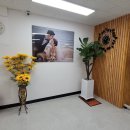 국제국내결혼정보 이미지