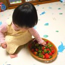 맹방유채꽃마을 | 삼척 특산품 겨울 제철 과일 맹방유채꽃마을 딸기 농가 | 삼척 가볼만한곳